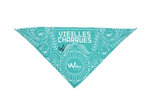 2016, Les Vieilles Charues (la couleur est turquoise).