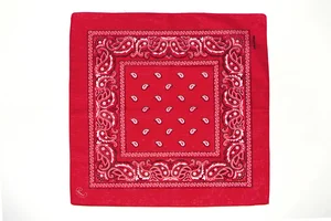 2016-2017, Phénix Tour.