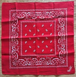 Tour 2023,
dans mes cordes.