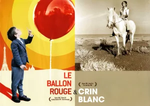 Les films plans médias