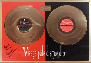 Septembre 1989,
Renaud Tour 89,
100 000 exemplaires vendus en France,
Album d'Or.