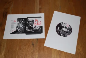 "Les Bobos",
projets du single.